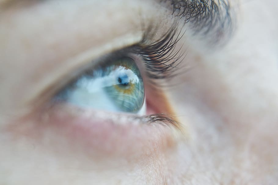 close up photography of person's eye, human, macro, beauty HD wallpaper