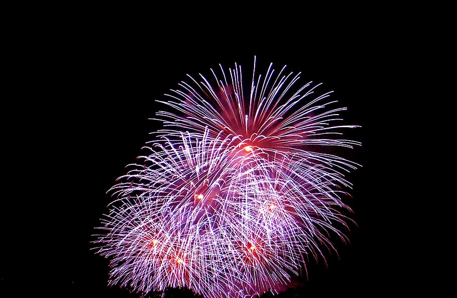 fireworks illustration, night, ad, lighting, pyrotechnics, celebration HD wallpaper