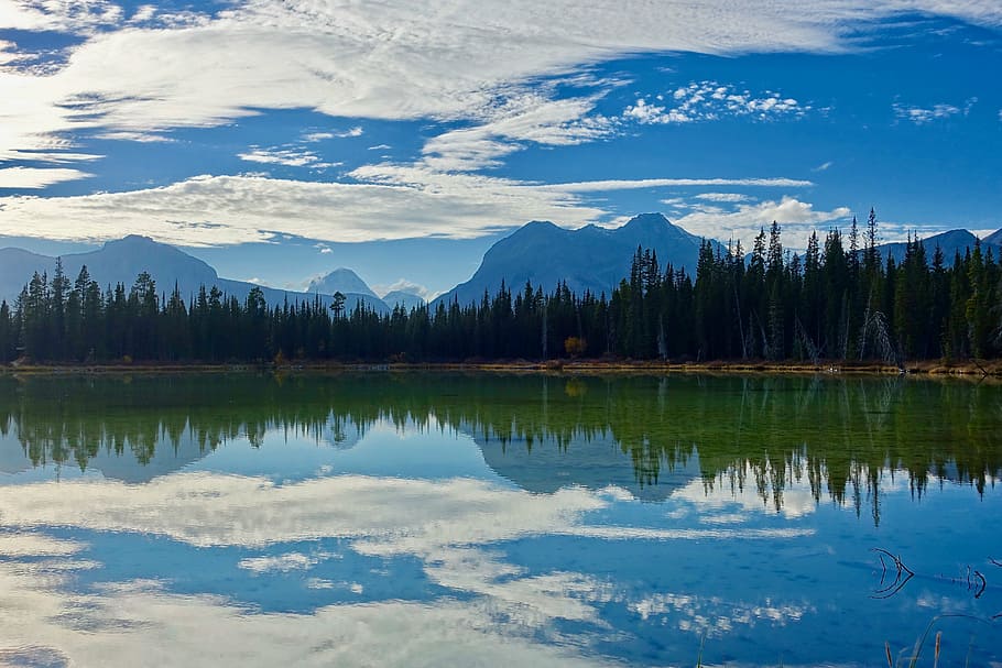 body of water surrounded by green trees, lake, reflection, wilderness HD wallpaper