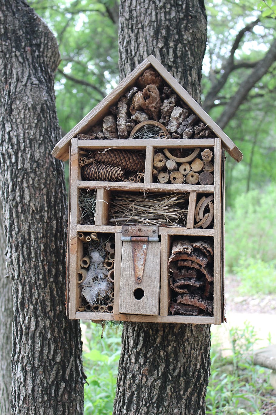 HD wallpaper: bug hotel, bug house, outdoor, garden, nature, shelter ...