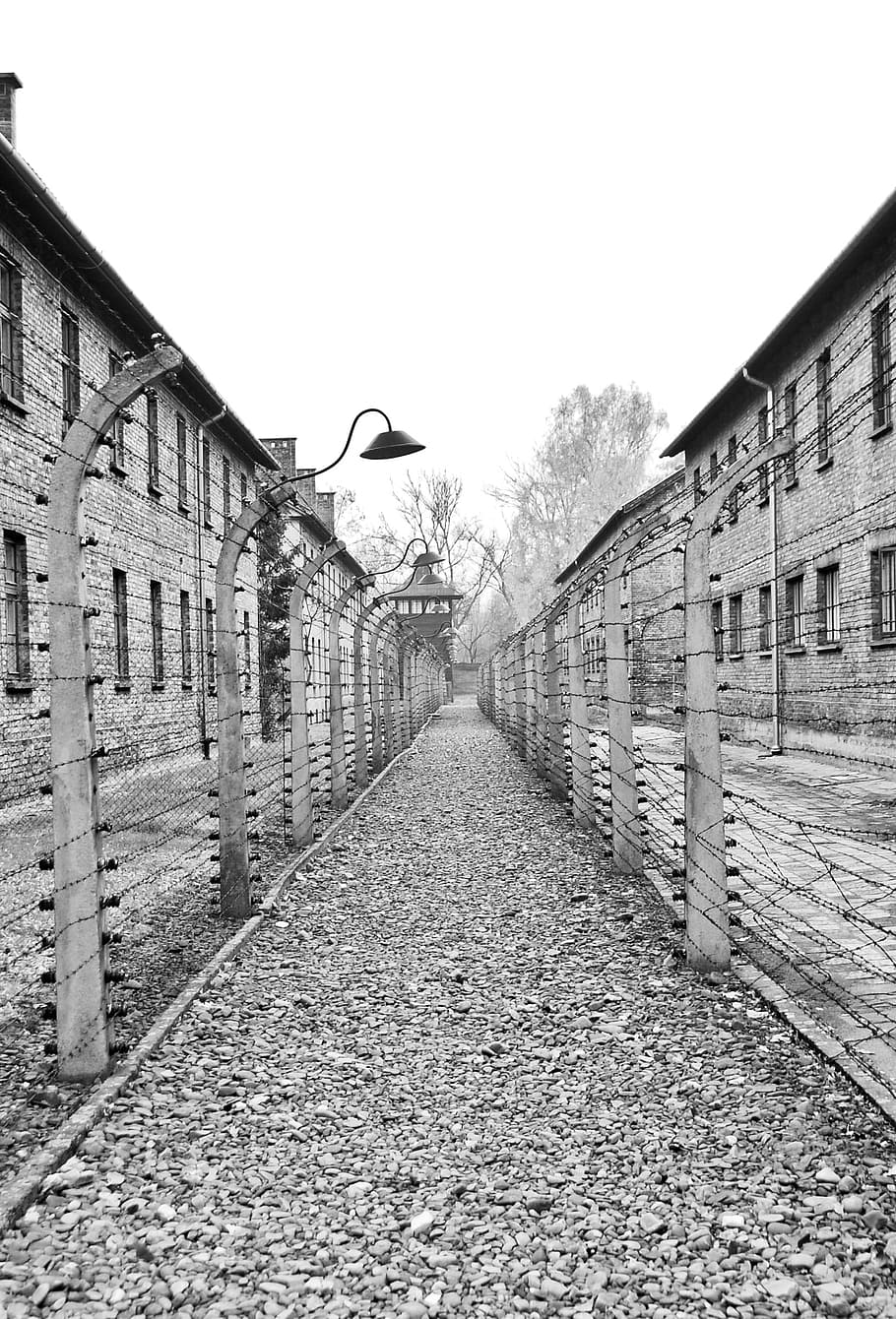 auschwitz, camp, holocaust, concentration, poland, history