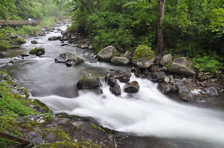 waters, flow, river, falls, nature, rock, tree, forest, rock - object HD wallpaper