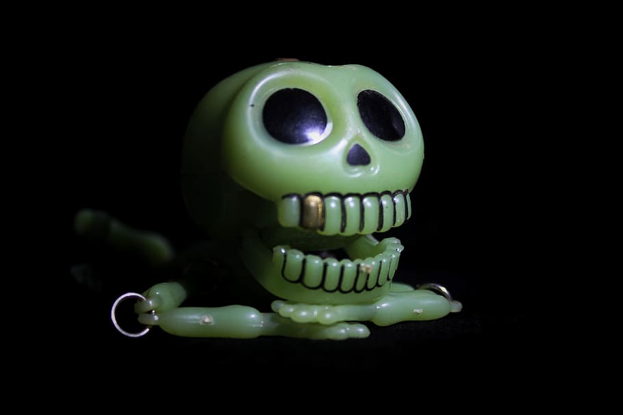 skull, skeleton, picture, black background, studio shot, indoors HD wallpaper
