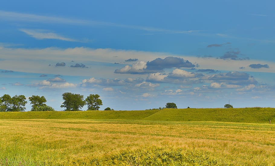 landscape, sky, cornfield, summer, nature, beauty in nature HD wallpaper