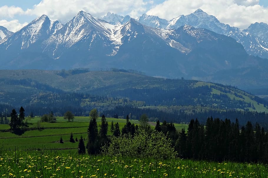 mountains, spring, tatry, nature, landscape, the national park HD wallpaper