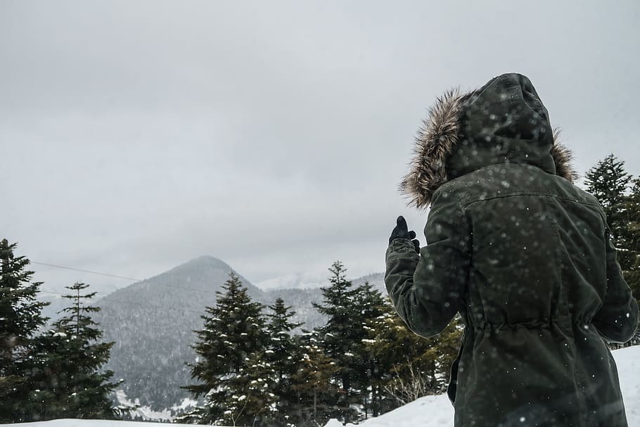 people, back, hoodie, jacket, cold, weather, snow, winter, trees HD wallpaper