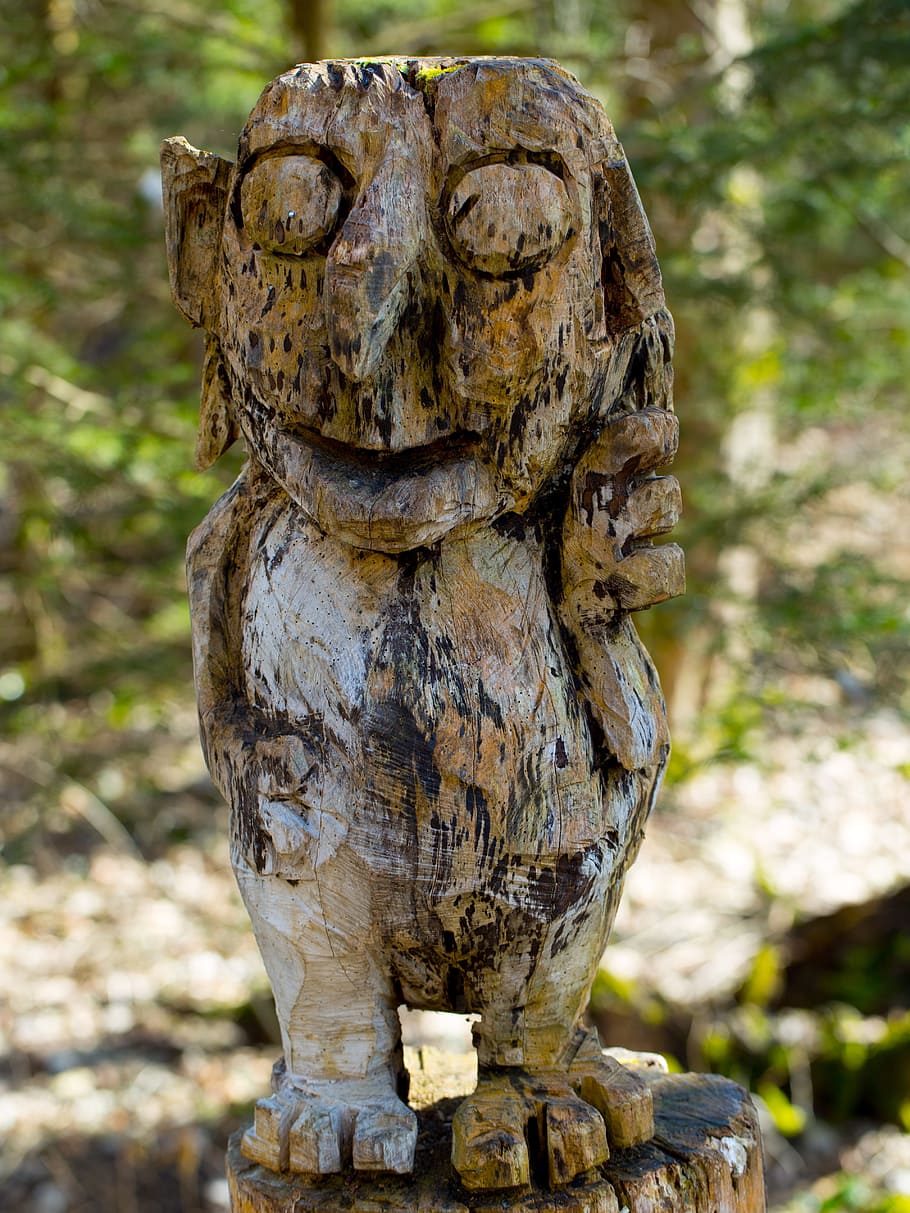 Kobold, Figure, Face, Look, holzfigur, carving, forest, wood