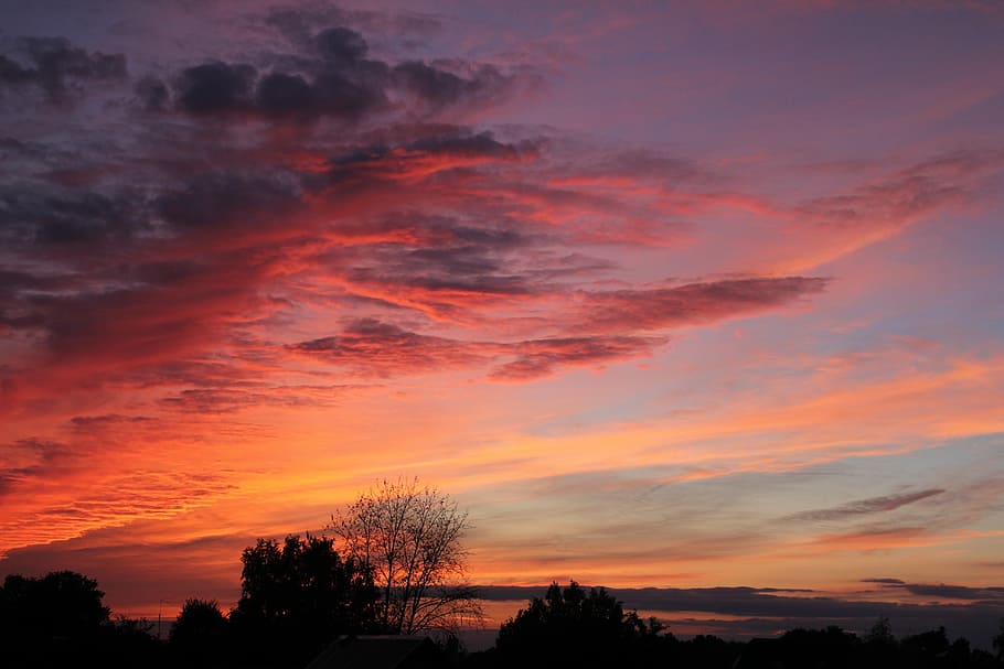 sunset, nature, twilight, sky, cloud - sky, tree, scenics - nature HD wallpaper