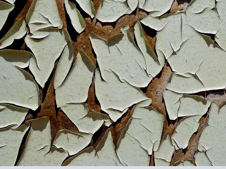 dry, nature, pattern, background, peeling paint, wood, abstract HD wallpaper