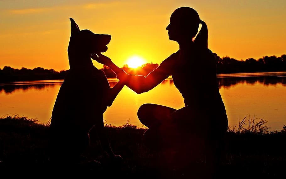 silhouette of woman and dog near body of water during sunset, HD wallpaper