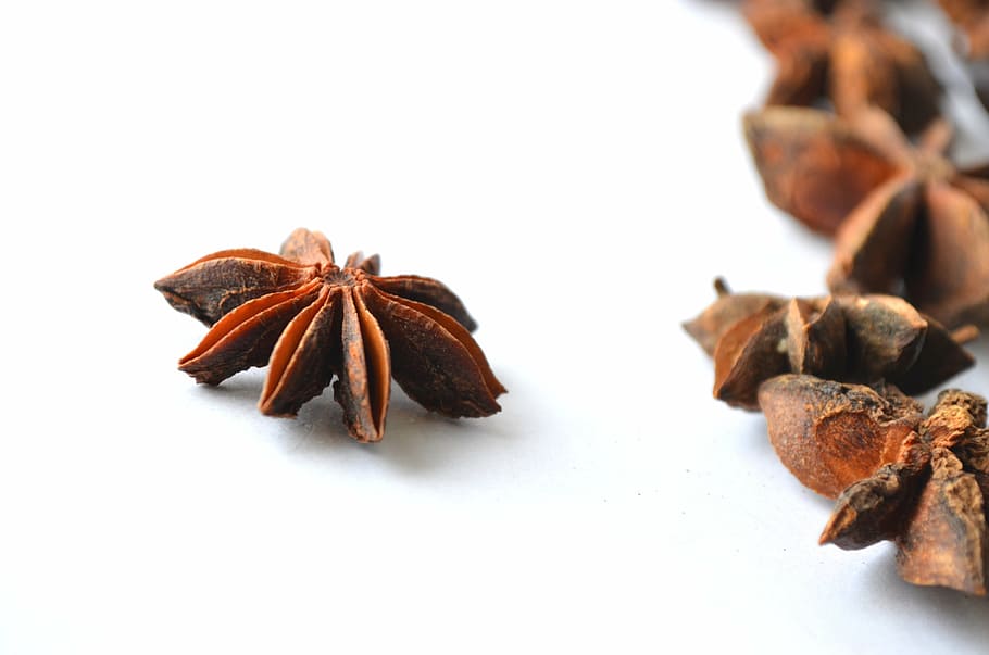 chinese star anise, illicium verum, brown, flavor, food, exotic, HD wallpaper