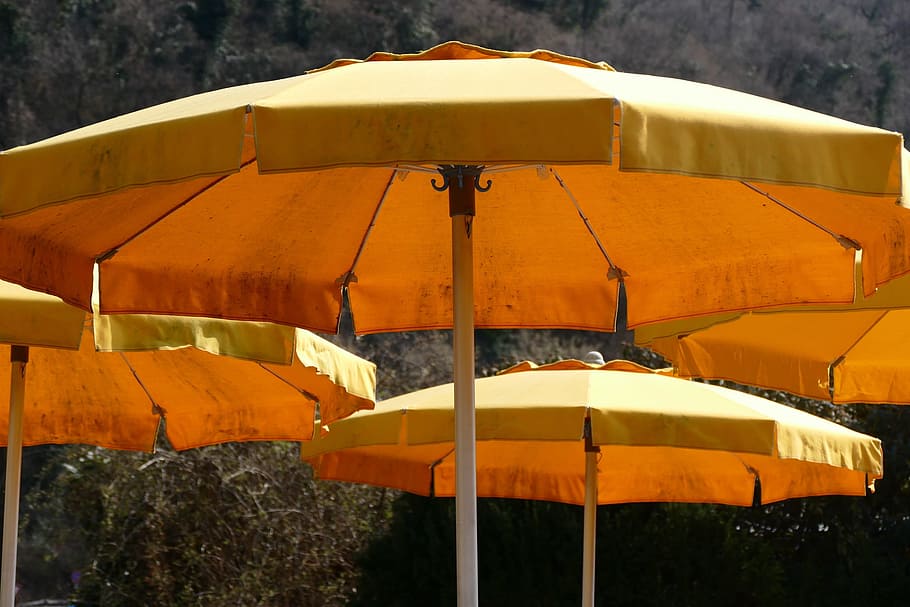 Spring, Sun, Screens, Summer, in the, sunlight, sunny, umbrella HD wallpaper