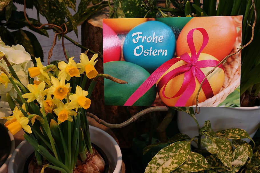 Greeting, Happy Easter, easter greeting, greeting card, easter eggs HD wallpaper