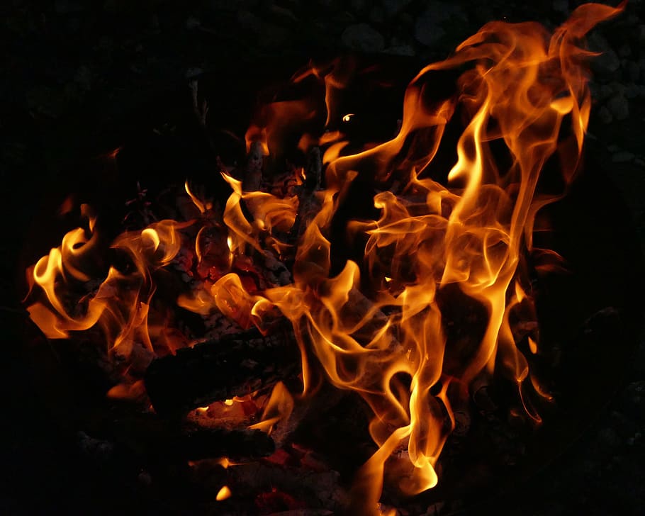 photography of bonfire, flame, fire bowl, wood fire, burn, combustion HD wallpaper