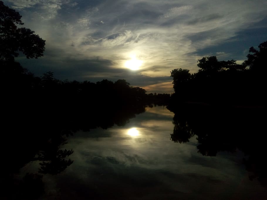sunset, sunshine, tree, sky, water, reflection, plant, tranquility HD wallpaper