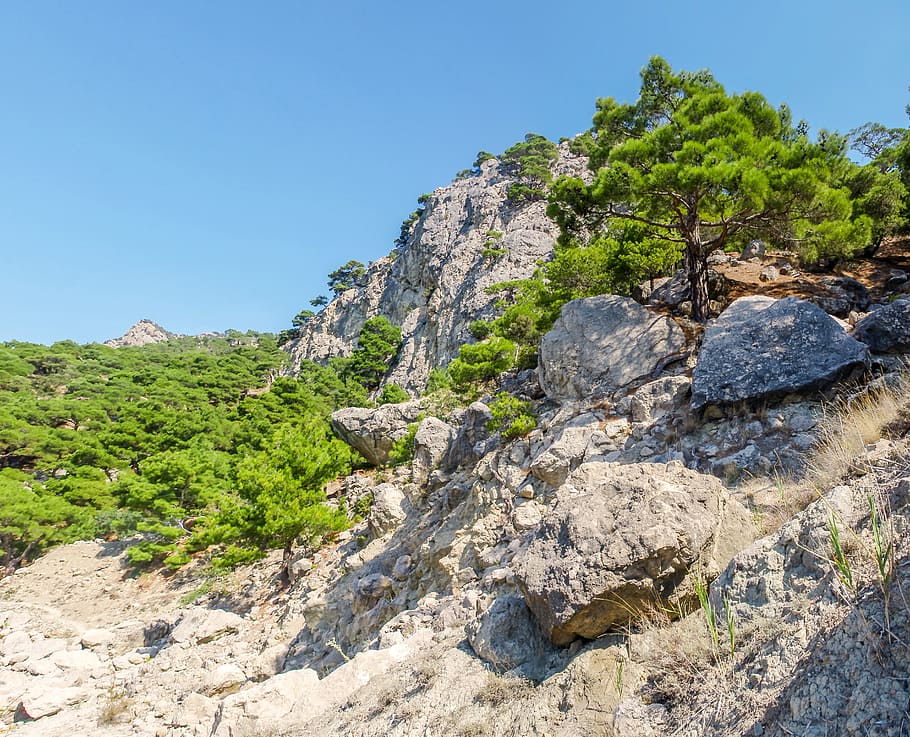nature, stone, landscape, sky, travel, mountain, plant, summer HD wallpaper