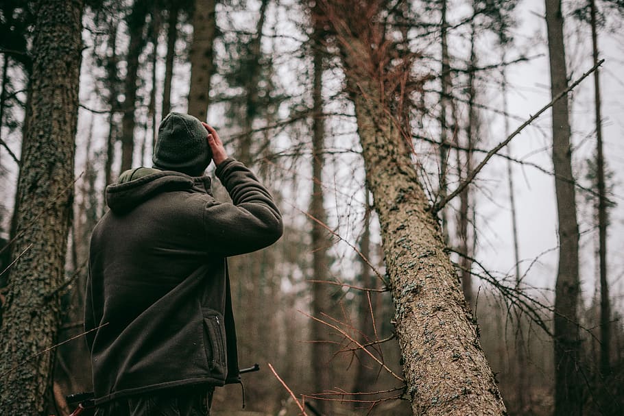 person standing in middle of forest during daytime, person standing near bare trees HD wallpaper