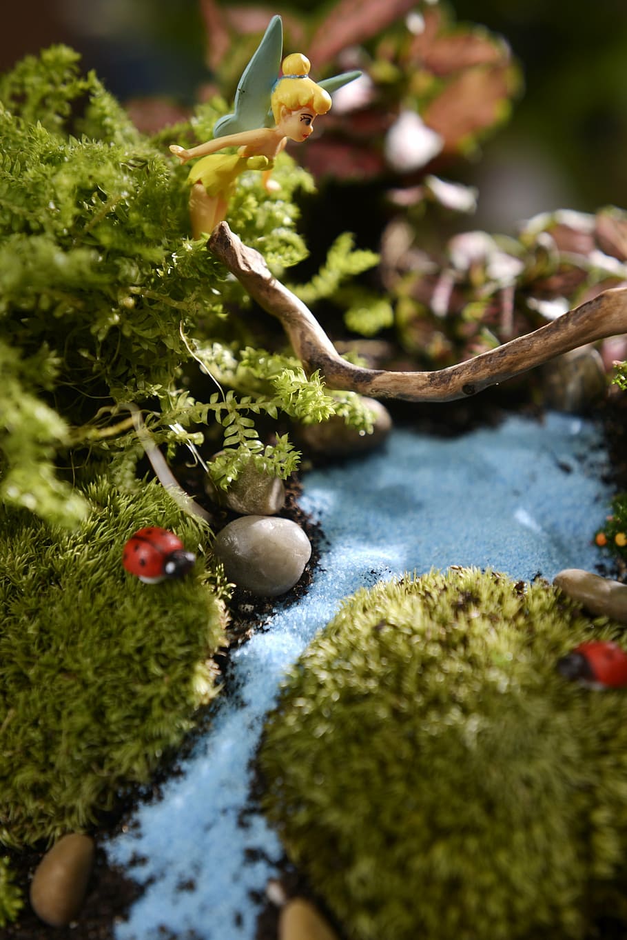 fairy tale, green, elf, properties, nature, green Color, selective focus HD wallpaper