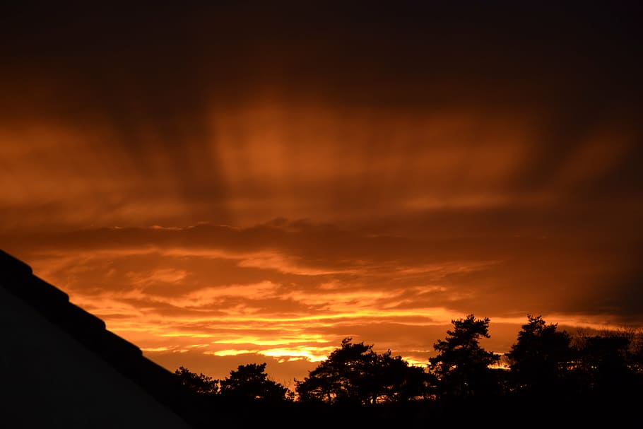 sunset, nature sunset, sky, cloud - sky, silhouette, tree, beauty in nature HD wallpaper