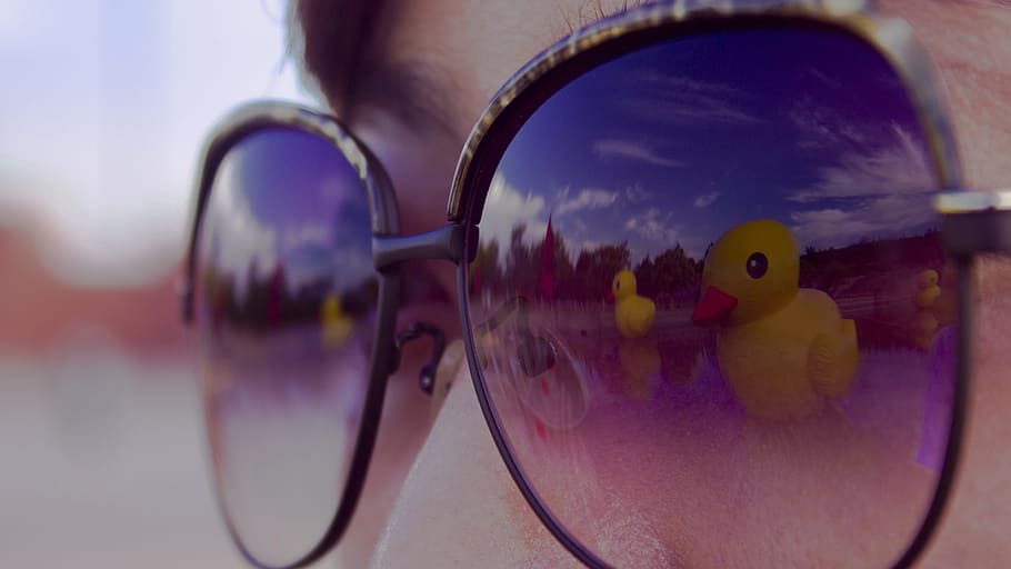 glasses, duck, studio city, reflection, water, close-up, nature HD wallpaper