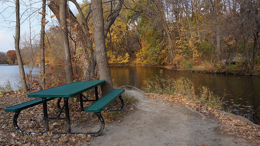 Fall, Campsite, Three Rivers, maple grove, water, no people HD wallpaper