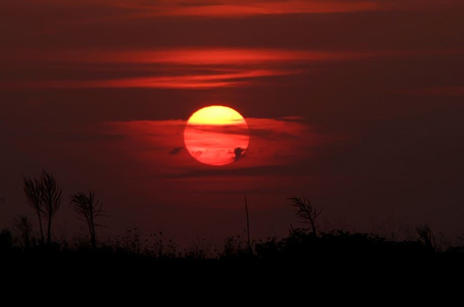sunset, sky, cloud, red, in the evening, beauty in nature, scenics - nature HD wallpaper