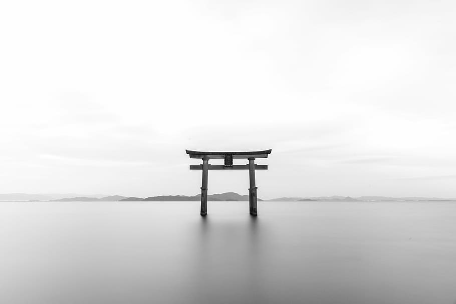 grayscale photography of wooden arche, tori, torii, shrine, b w, HD wallpaper