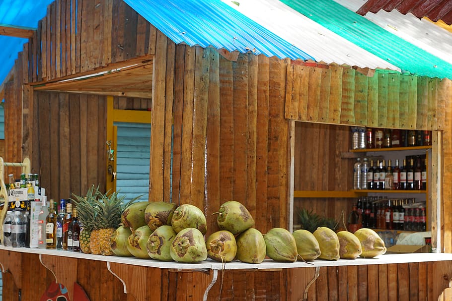 bar, coconuts, coco loco, caribbean, drink, food and drink HD wallpaper