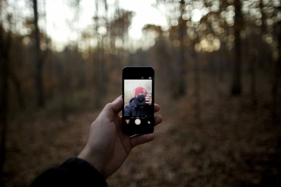 person taking selfie in forest, person taking picture of his self HD wallpaper