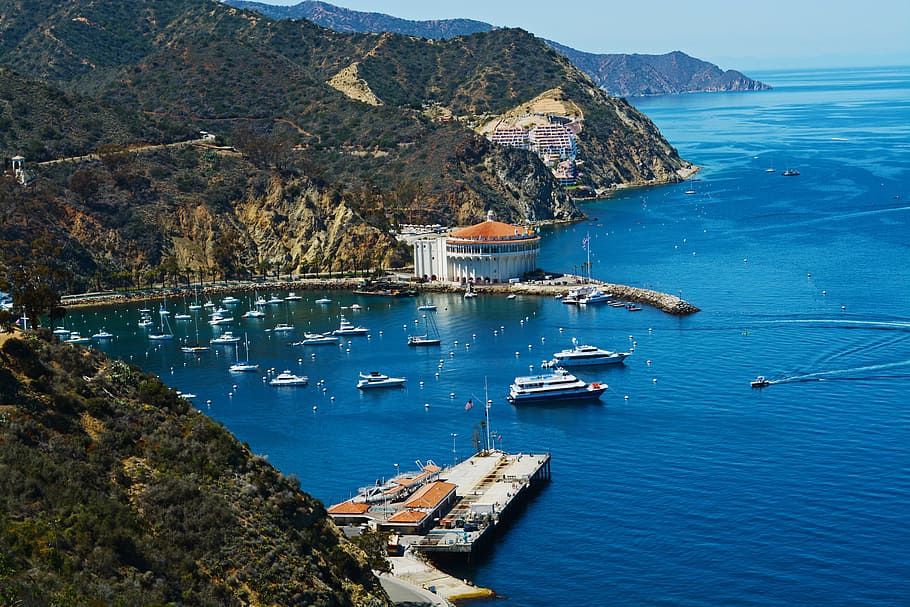 catalina, island, california, water, nautical vessel, transportation, HD wallpaper