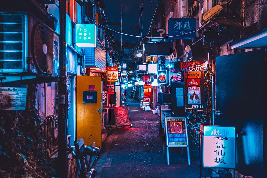 street between buildings at night, tight alley stores with Kanji script signage with LED and neon decorations during nighttime