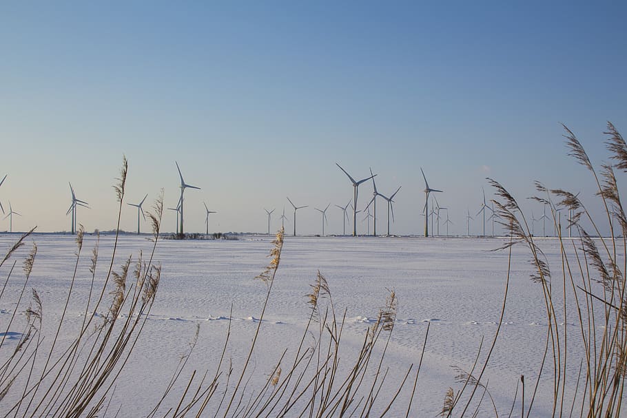 nature, wind, sky, winter, landscape, tranquility, environment HD wallpaper