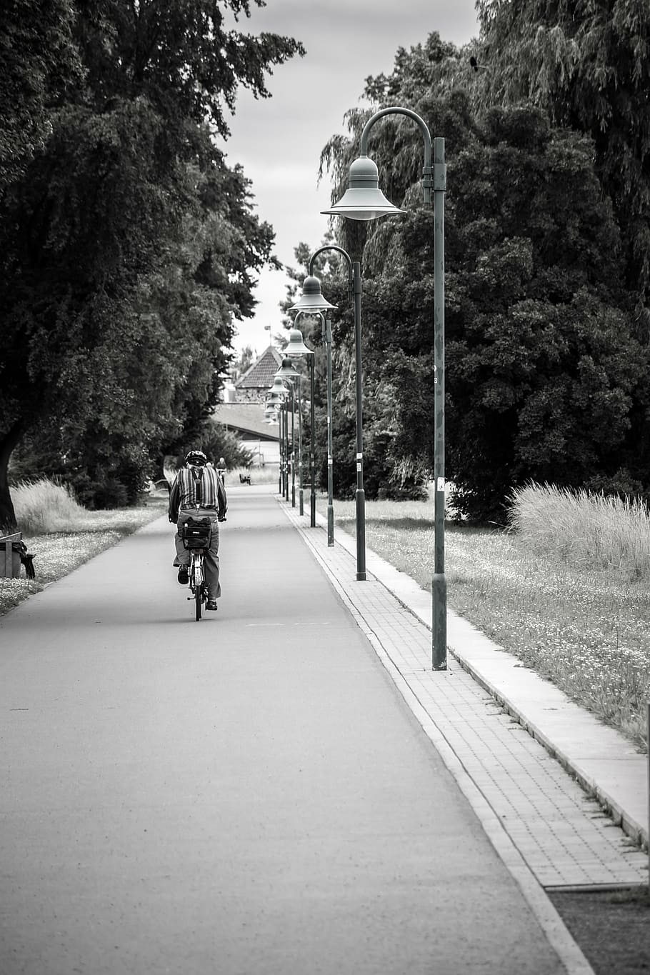 avenue, lanterns, cyclists, away, road, cycling, just, vanishing point HD wallpaper