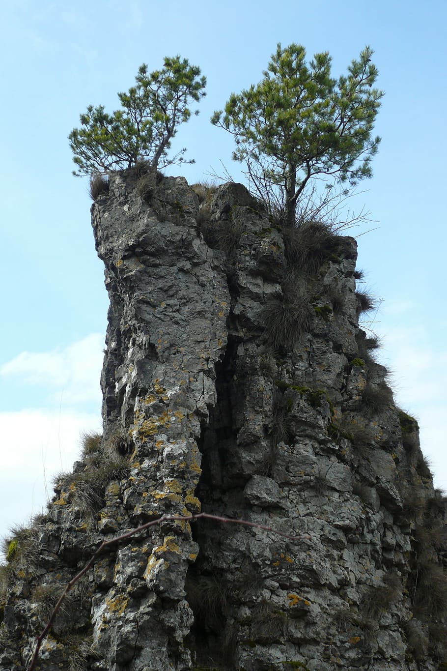 rock, pine, cliff, mountain pine, gerolstein, eifel, sky, day HD wallpaper