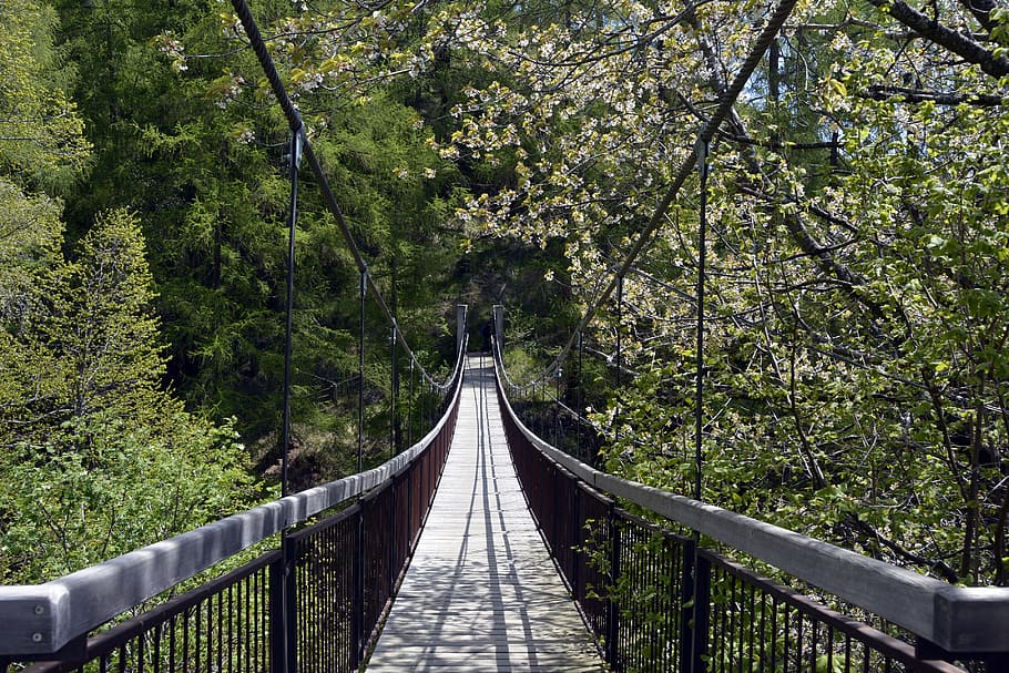 brown wooden hanging bridge with trees around it, Suspension Bridge