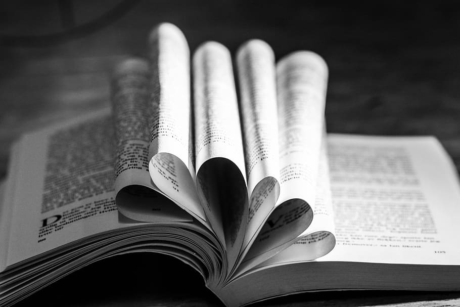 book, reading, pages, heart, reading book, education, publication HD wallpaper