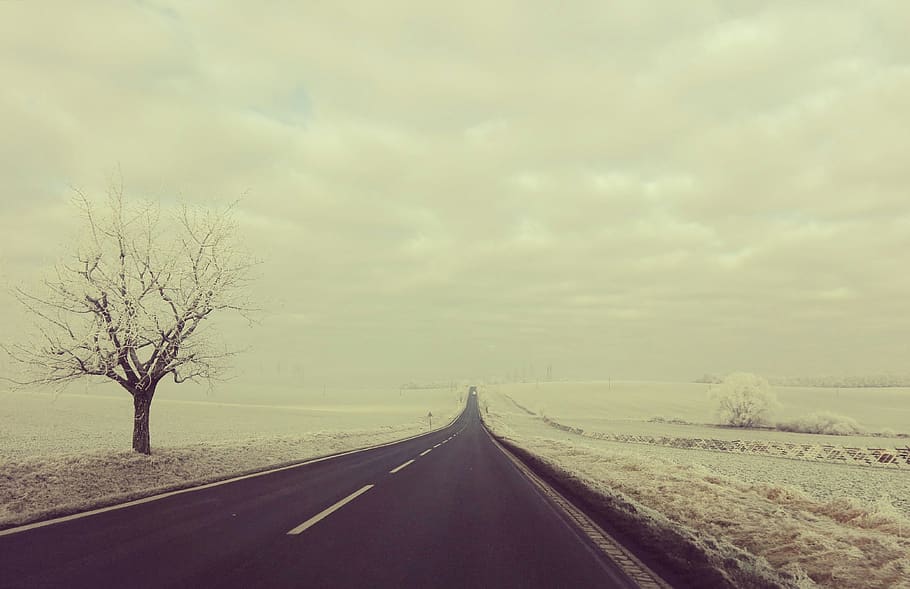 winter, path, snow, transportation, road, sky, the way forward HD wallpaper