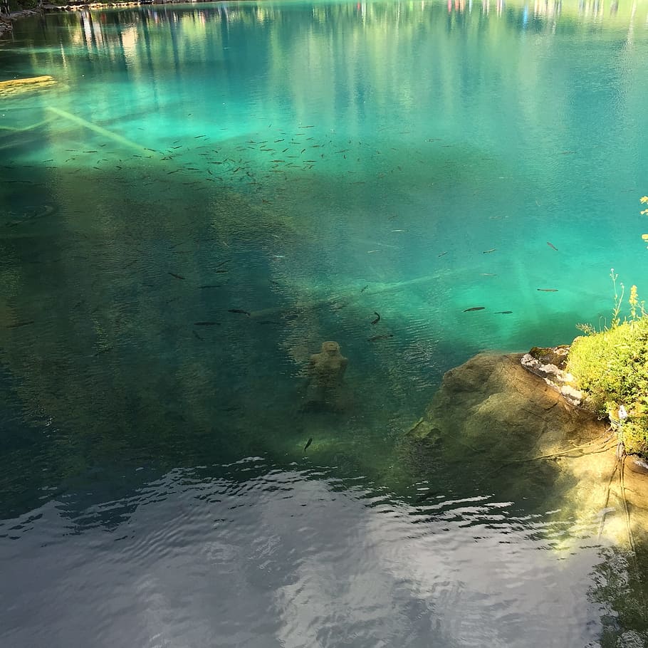 blausee, hidden, statue, water, beauty in nature, waterfront HD wallpaper