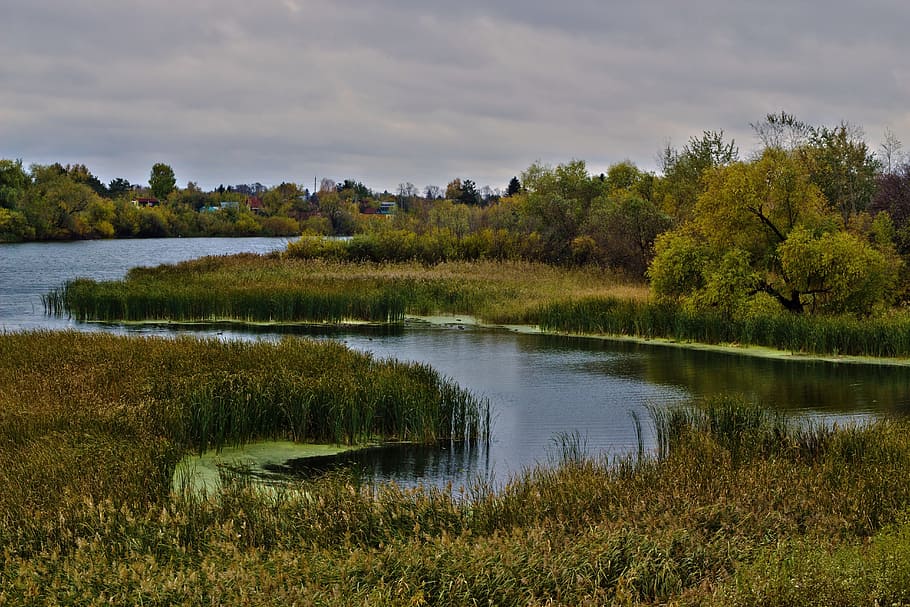 autumn, river, landscape, plant, water, tree, lake, grass, sky HD wallpaper