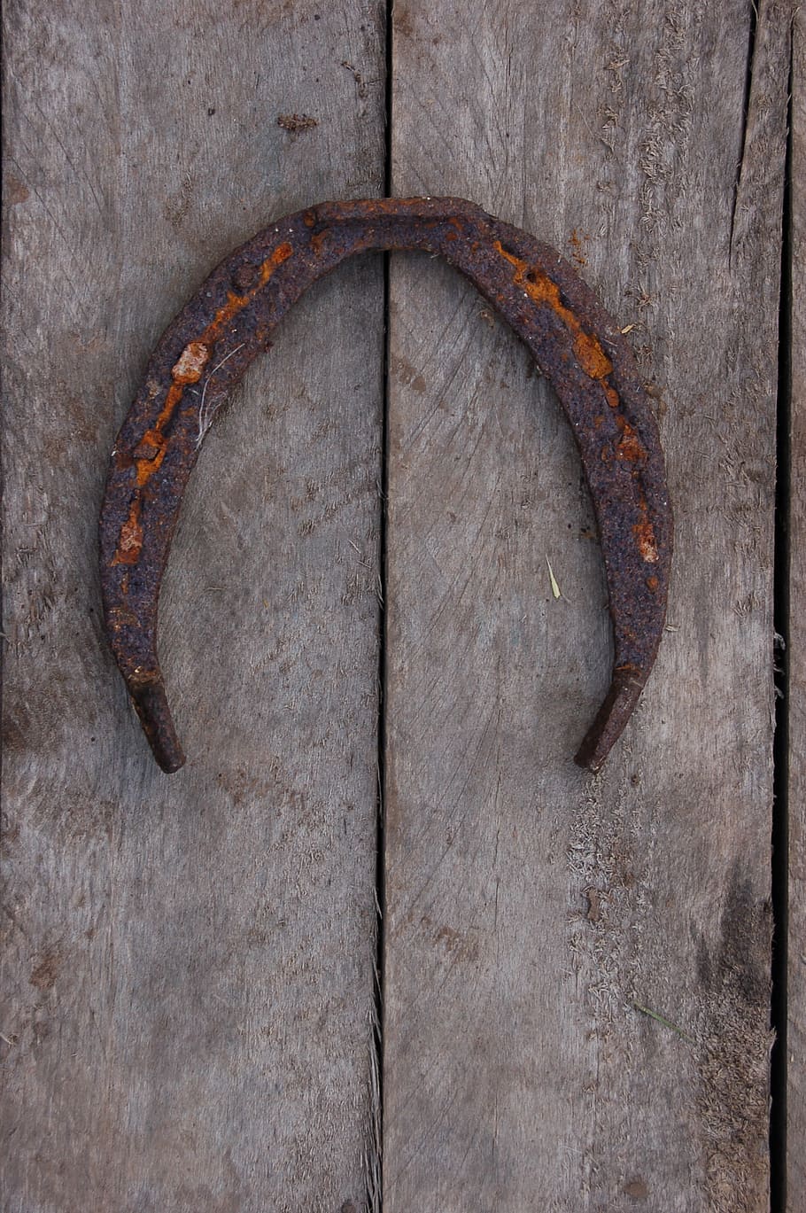 horseshoe, vintage, tree, old, retro, rustic, closeup, no people HD wallpaper
