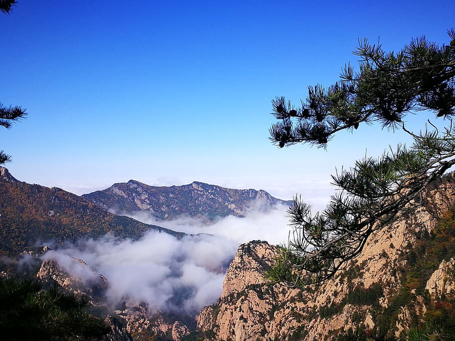 In Wuling Mountain, Clouds, pinus tabulaeformis, tree, pine tree HD wallpaper