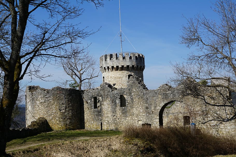 Ruin, Castle, Park, Trees, honing mountain, tuttlingen, germany HD wallpaper
