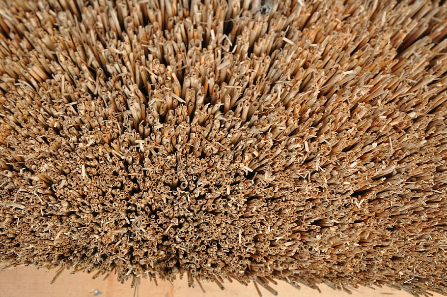 straw, nature, background, rural, no people, food and drink HD wallpaper