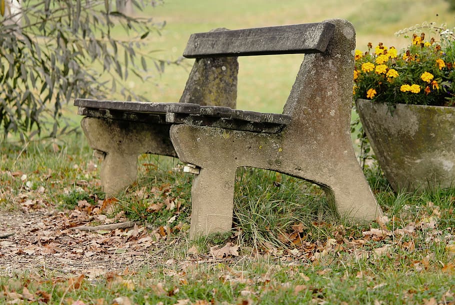 tranquility base, wooden bench, bank, autumn, forest, glade, HD wallpaper