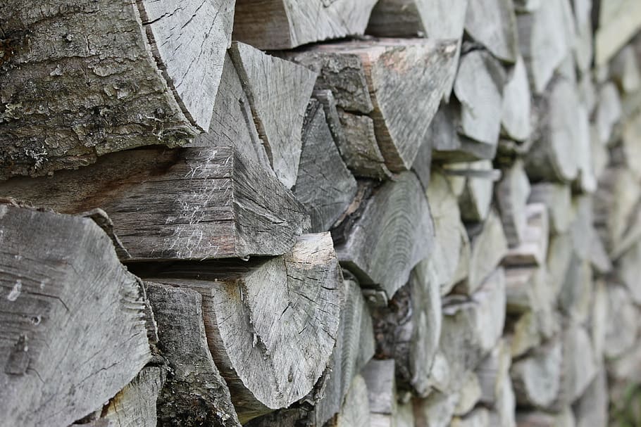 wood, tribe, stack, tree, firewood, timber, bark, wood - material HD wallpaper