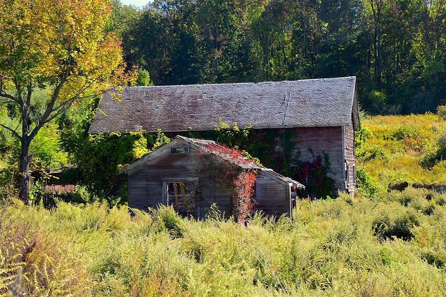 Old, Building, Rural, Wood, old building, exterior, rustic HD wallpaper