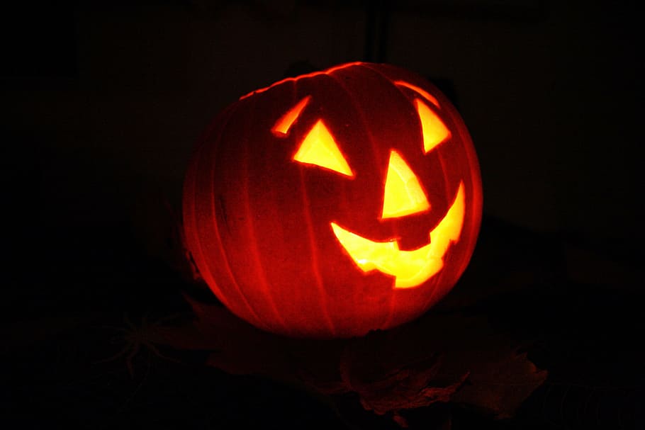 Jack-o-Lantern, pumpkin, face, halloween, celebration, fruit HD wallpaper