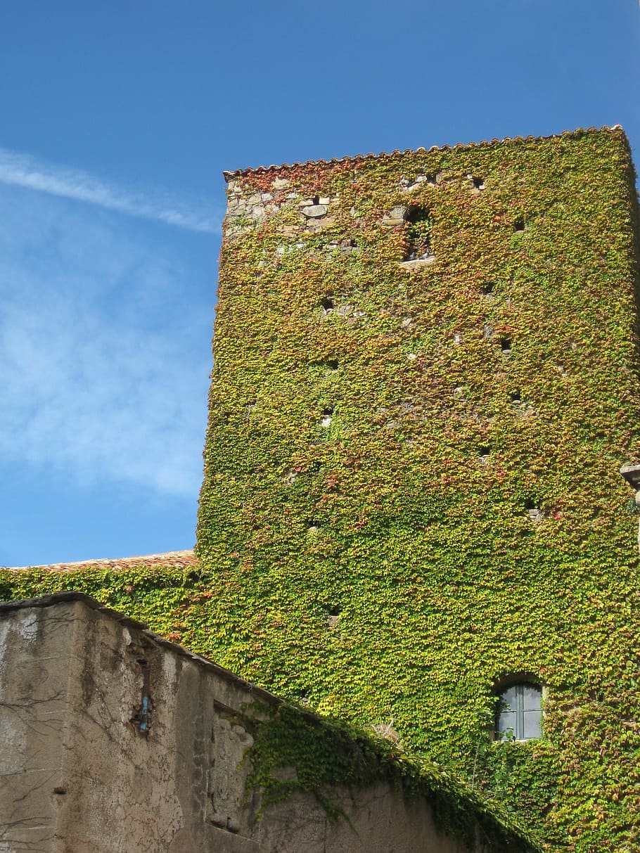 Vertical Garden, Garden, Tower, green, building exterior, built structure HD wallpaper