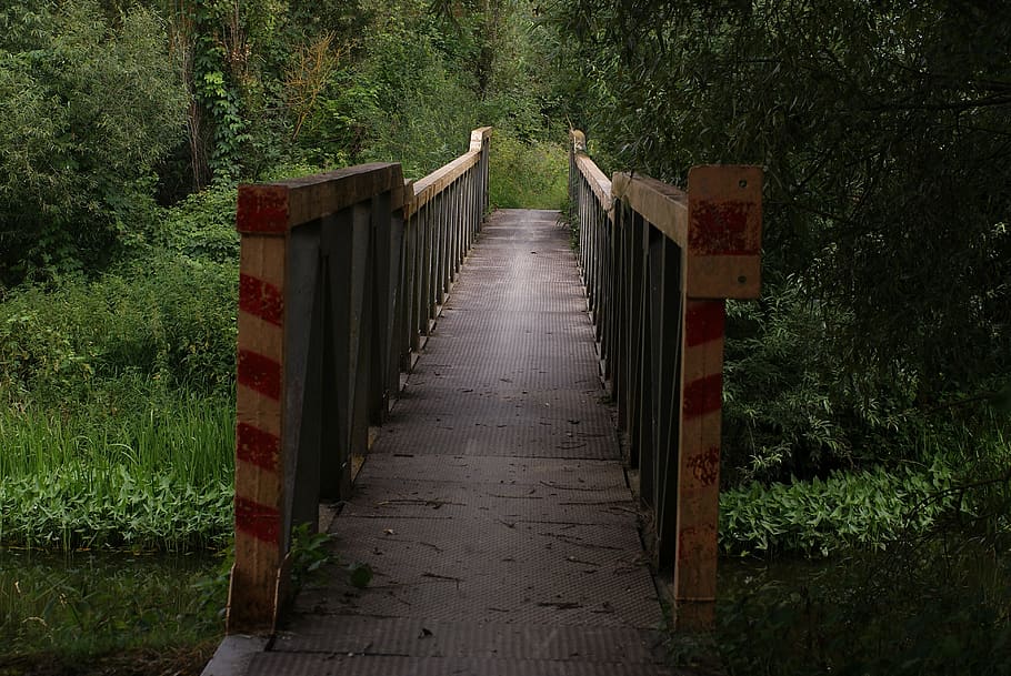 bridge, footbridge, landscape, water, nature, river, way, forest HD wallpaper