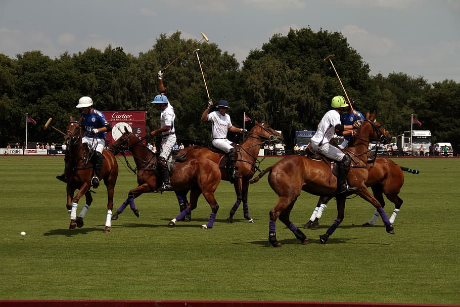 Polo, Players, Match, Sport, Competition, equestrian, professional, HD wallpaper